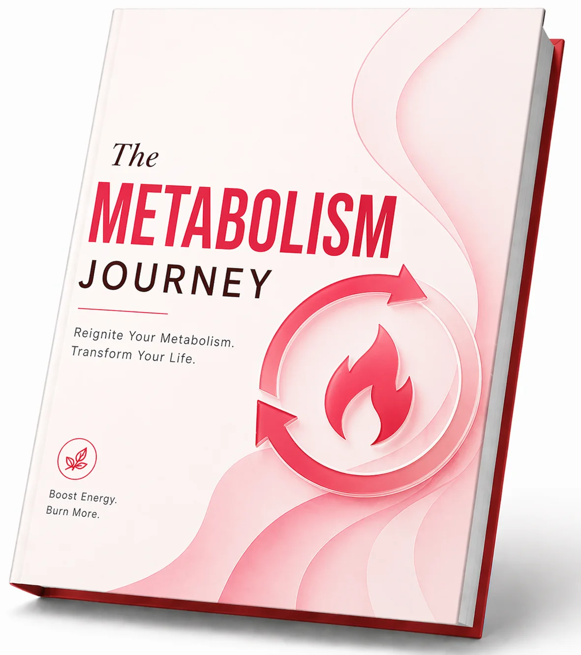 The Metabolism Journey bonus guide